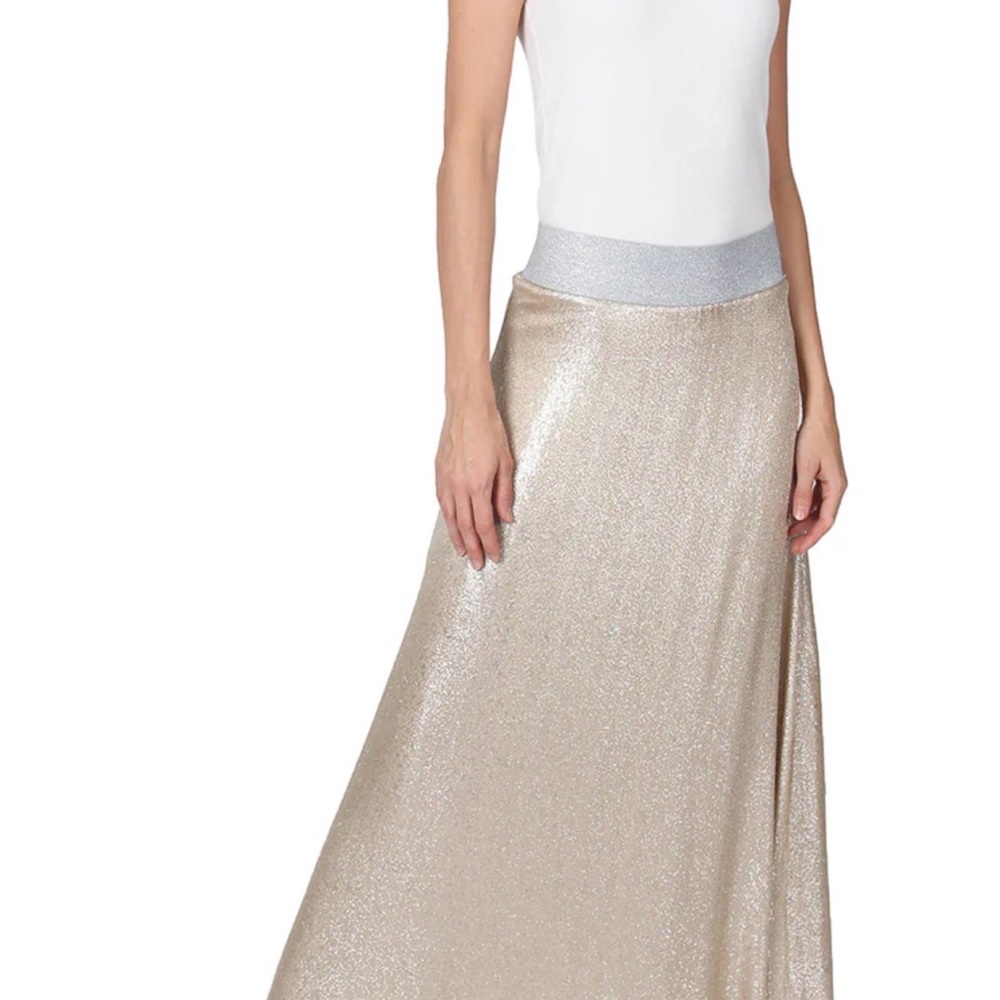 Elegant Silver Maxi Skirt Marie France Van Damme
